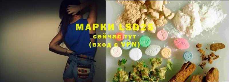 где найти наркотики  Новодвинск  LSD-25 экстази кислота 